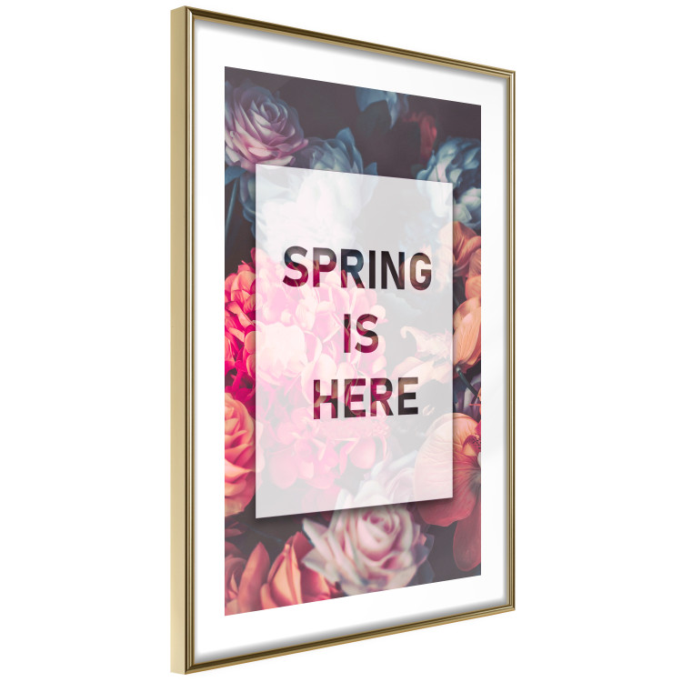 Wall Poster Spring Is Here - English inscriptions in a white frame on a background of flowers 127065 additionalImage 9