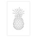 Wall Poster Fruit Sketch - line art of tropical fruit on uniform white background 128365 additionalThumb 25