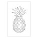 Wall Poster Fruit Sketch - line art of tropical fruit on uniform white background 128365