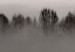 Wall Poster Island of Mists - black and white lakeside landscape with mist-covered island 130265 additionalThumb 10