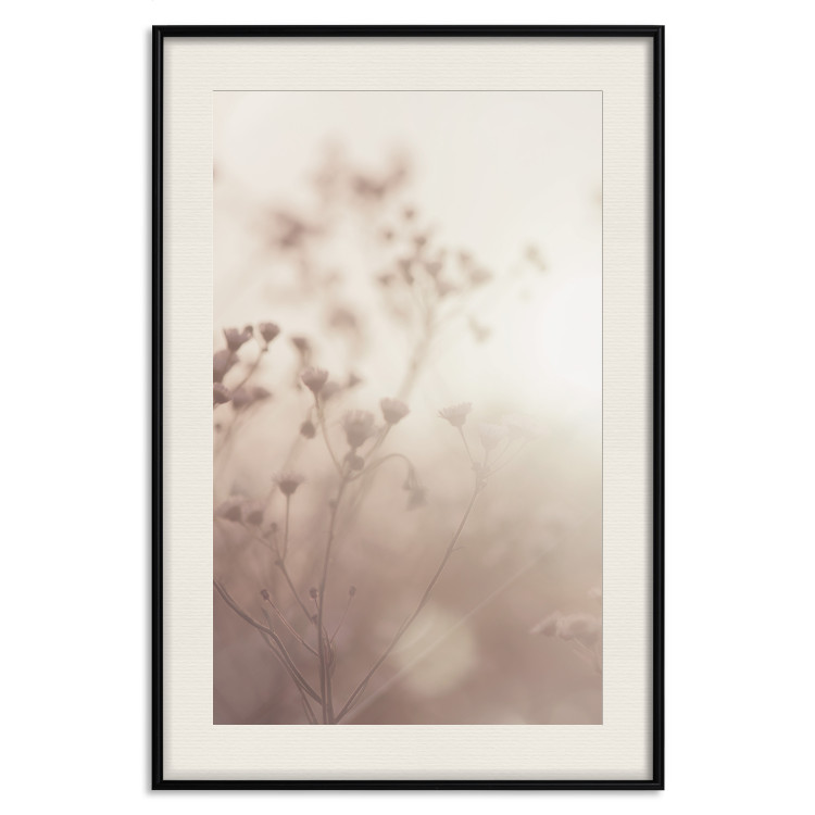 Poster Morning Meadow - a composition of plants with flowers against the backdrop of sunlight 130765 additionalImage 19