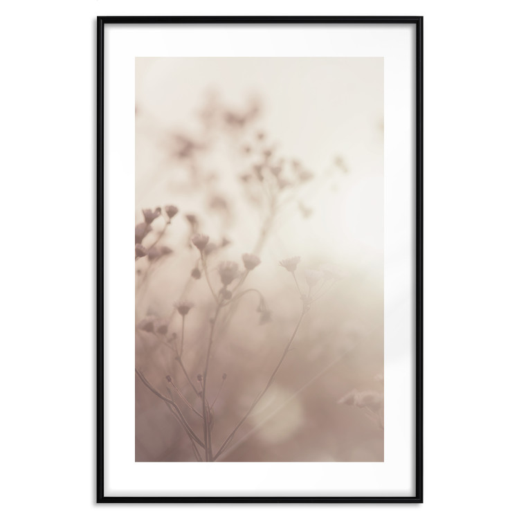 Poster Morning Meadow - a composition of plants with flowers against the backdrop of sunlight 130765 additionalImage 15