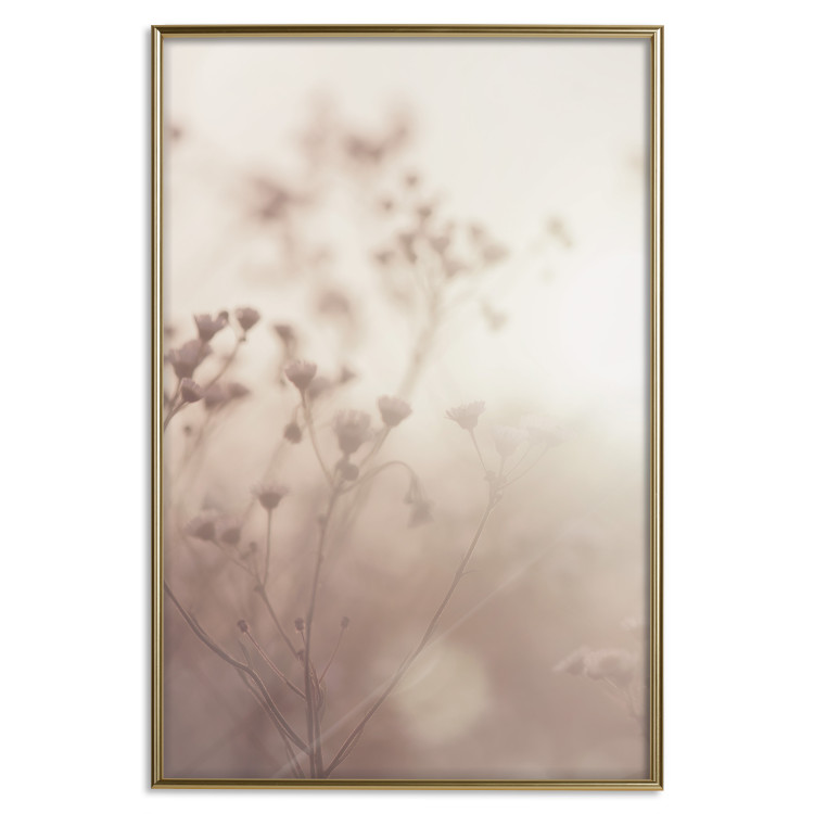 Poster Morning Meadow - a composition of plants with flowers against the backdrop of sunlight 130765 additionalImage 21