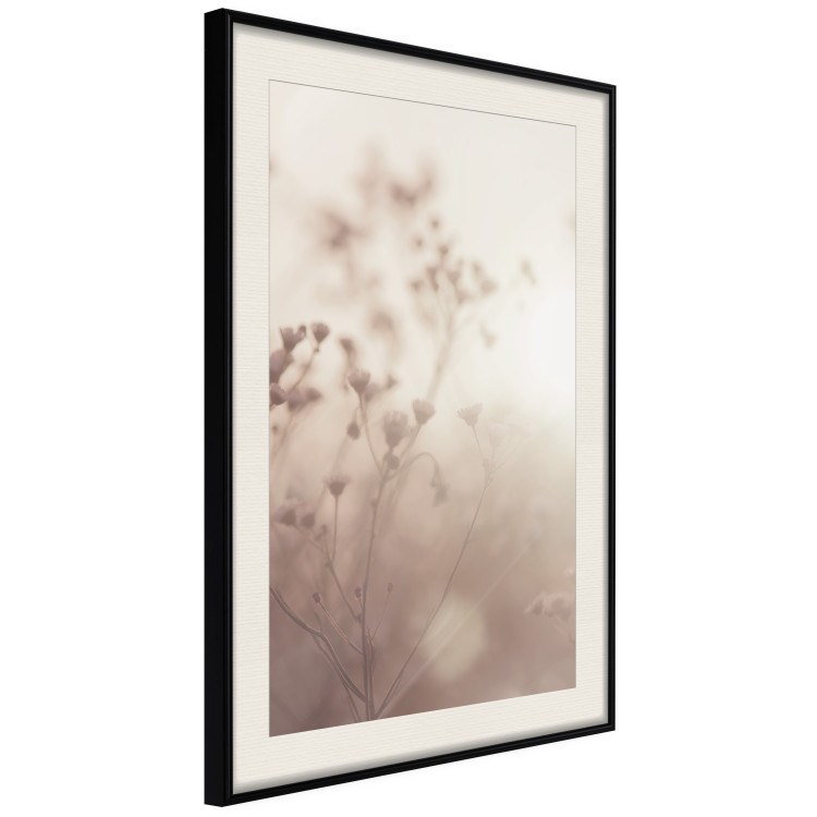 Poster Morning Meadow - a composition of plants with flowers against the backdrop of sunlight 130765 additionalImage 2