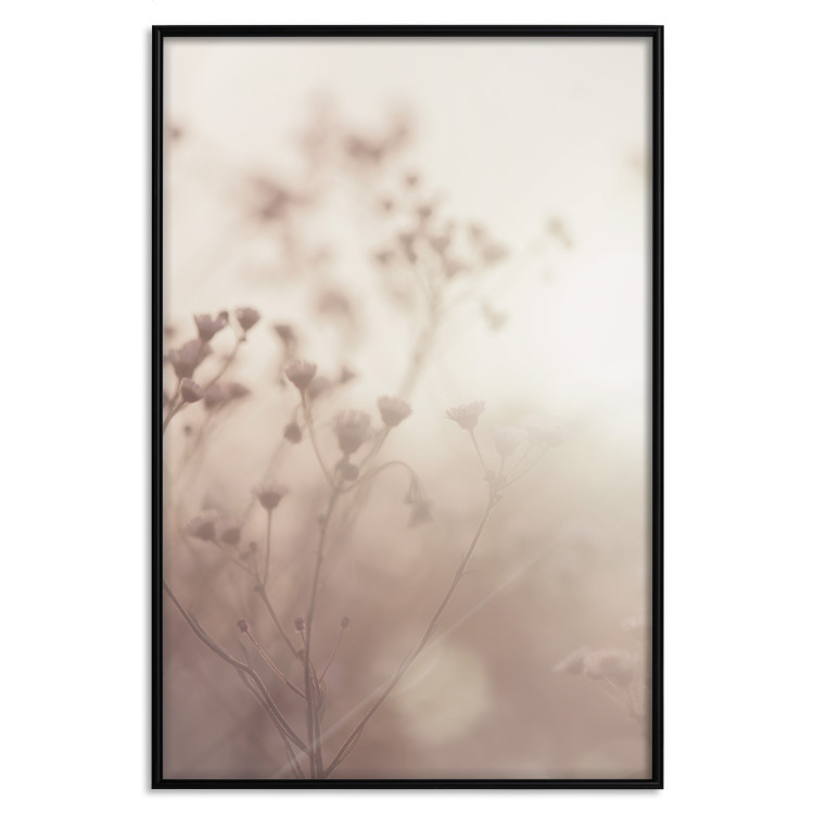 Poster Morning Meadow - a composition of plants with flowers against the backdrop of sunlight 130765 additionalImage 18