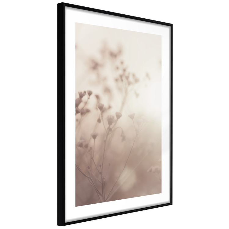 Poster Morning Meadow - a composition of plants with flowers against the backdrop of sunlight 130765 additionalImage 8