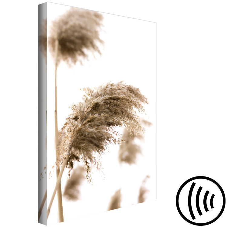 Canvas Art Print Dry Wind (1-piece) Vertical - plant landscape in boho motif 131565 additionalImage 6