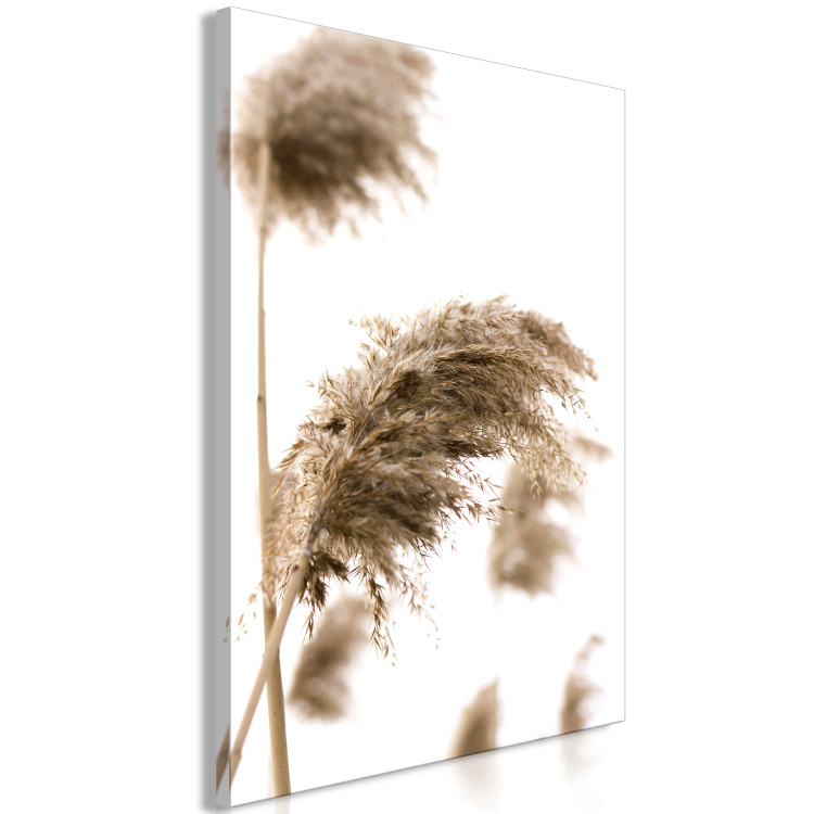 Canvas Art Print Dry Wind (1-piece) Vertical - plant landscape in boho motif 131565 additionalImage 2