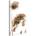 Canvas Art Print Dry Wind (1-piece) Vertical - plant landscape in boho motif 131565 additionalThumb 2
