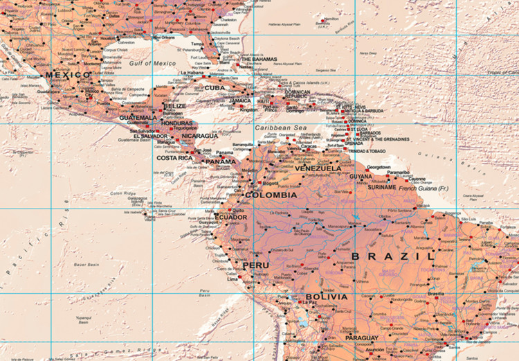 Large canvas print World Map: Orange World II [Large Format] 132365 additionalImage 4