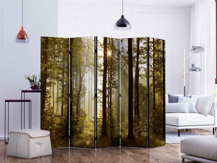 Room Divider Forest: Morning Sun II (5-piece) - forest landscape among tree canopies 132765 additionalImage 2