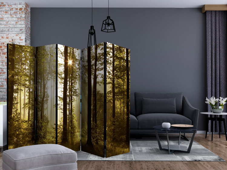 Room Divider Forest: Morning Sun II (5-piece) - forest landscape among tree canopies 132765 additionalImage 4