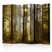 Room Divider Forest: Morning Sun II (5-piece) - forest landscape among tree canopies 132765