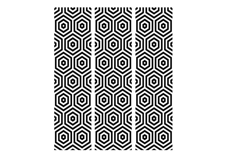 Folding Screen Black and White Hypnosis (3-piece) - composition in geometric pattern 133165 additionalImage 3