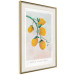 Wall Poster Sour Sweetness - English text and yellow fruits on a pastel background 135165 additionalThumb 27