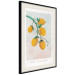 Wall Poster Sour Sweetness - English text and yellow fruits on a pastel background 135165 additionalThumb 26