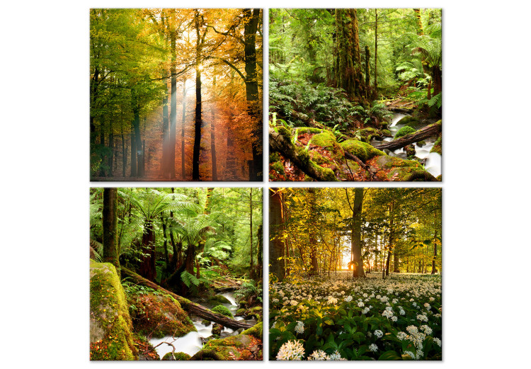 Canvas Forest Landscapes (4-piece) - trees in warm sunlight 145365