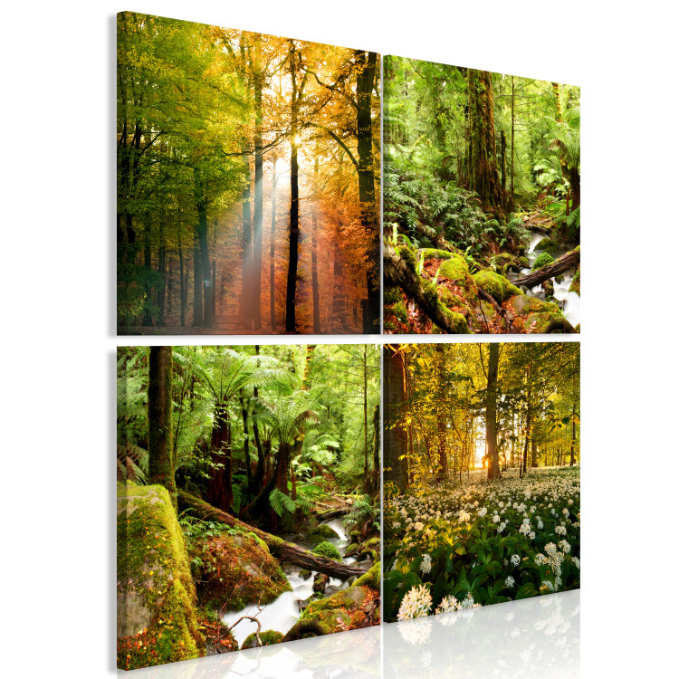 Canvas Forest Landscapes (4-piece) - trees in warm sunlight 145365 additionalImage 2