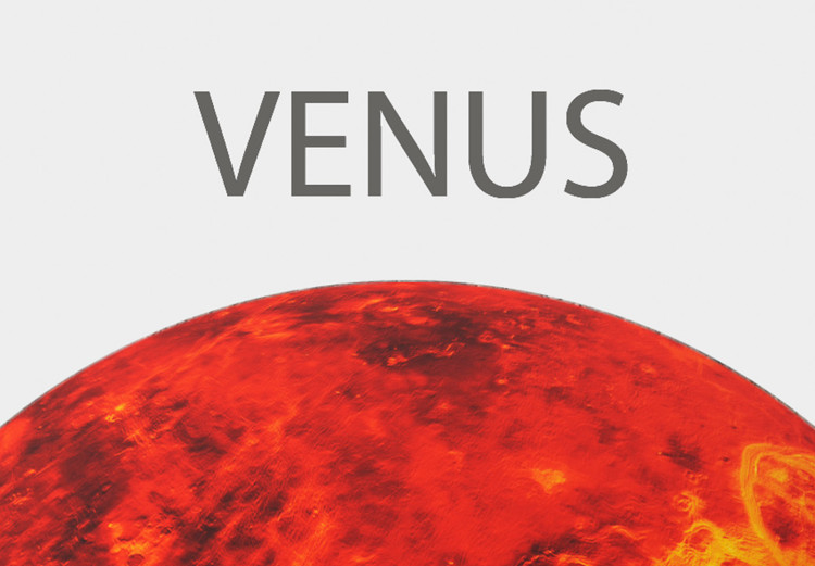 Canvas Print Venus II - The Brightest Planet in the Solar System 146465 additionalImage 4