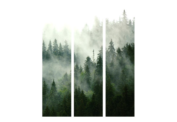 Room Separator Coniferous Forest [Room Dividers] 150965 additionalImage 3
