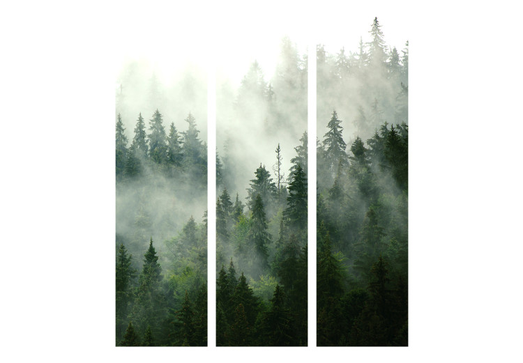 Room Separator Coniferous Forest [Room Dividers] 150965 additionalImage 7
