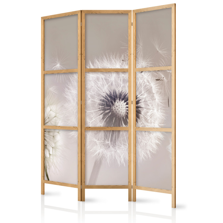 Folding Screen The Fleetingness of Summer - Delicate Composition With Dandelions [Room Dividers] 152065 additionalImage 5