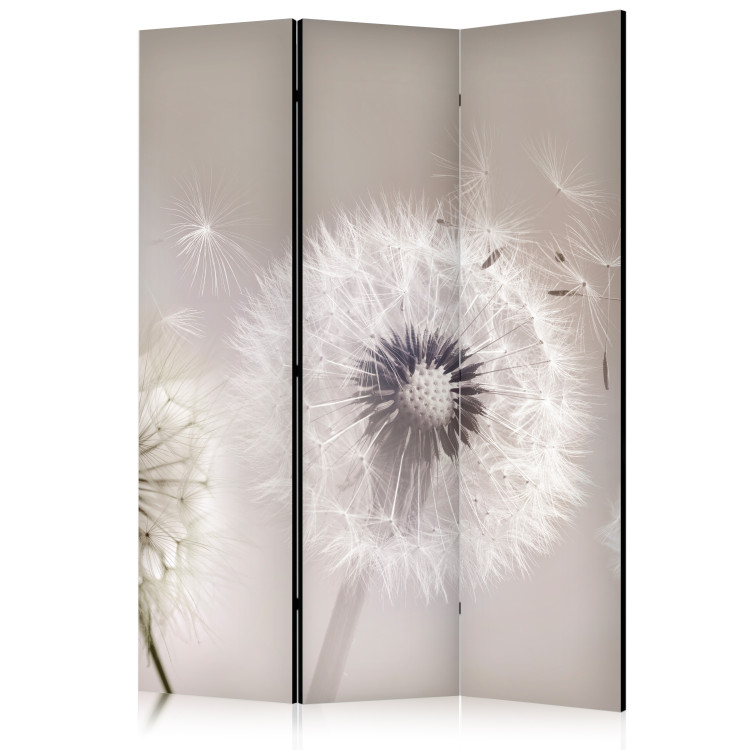 Folding Screen The Fleetingness of Summer - Delicate Composition With Dandelions [Room Dividers] 152065