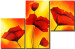 Canvas Print Hot poppies 47165