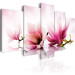 Canvas Print Magnolias: pink flowers 50065 additionalThumb 2