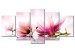 Canvas Print Magnolias: pink flowers 50065