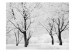 Photo Wallpaper Trees - winter landscape 60265 additionalThumb 1