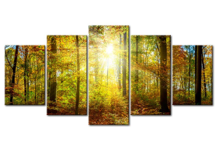 Canvas Art Print Mystical Forest  88665