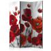 Room Divider Screen Poppies in Moonlight - red poppy flowers on a background of white light 95665