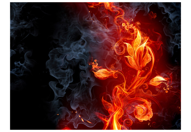 Wall Mural Fiery flower 96665 additionalImage 1