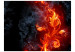 Wall Mural Fiery flower 96665 additionalThumb 1