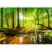 Photo Wallpaper Forest Stream 97365 additionalThumb 1