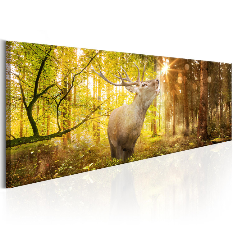 Canvas Print Roar in the Forest (1-piece) - Sunrise Glow and Roaring Deer 106575 additionalImage 2