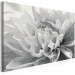 Paint by Number Kit Black & White Flower 107175 additionalThumb 4