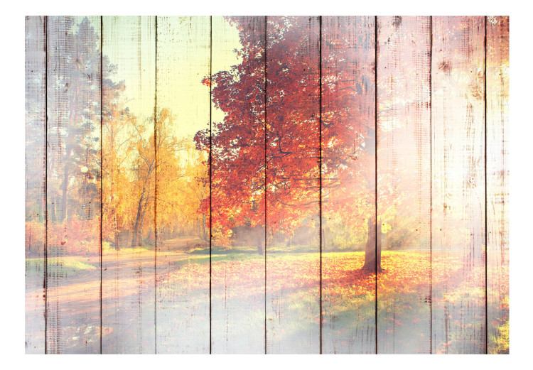 Photo Wallpaper Autumn Sun 107475 additionalImage 1