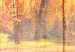 Photo Wallpaper Autumn Sun 107475 additionalThumb 3