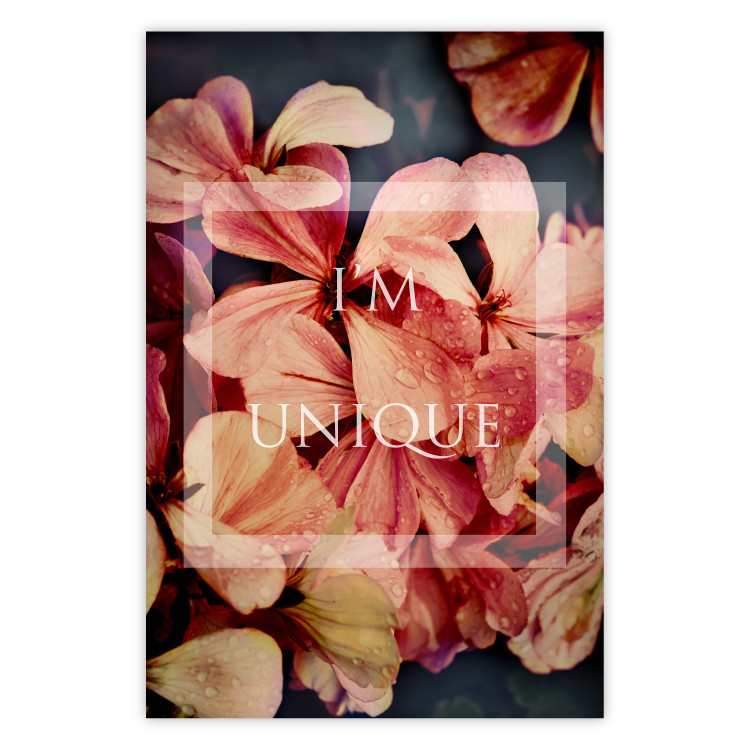 Poster I'm unique - English text on a background of colorful flower petals 114375