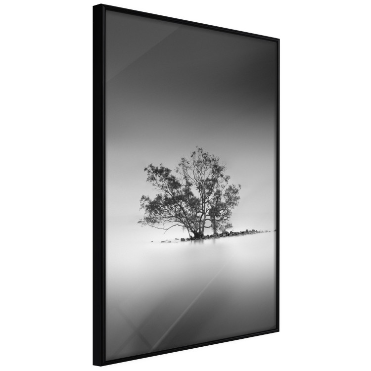 Poster Tree on an island - black and white landscape of a tranquil lake surface 114875 additionalImage 12
