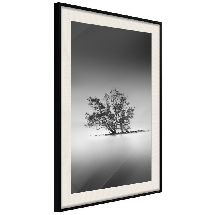 Poster Tree on an island - black and white landscape of a tranquil lake surface 114875 additionalImage 3