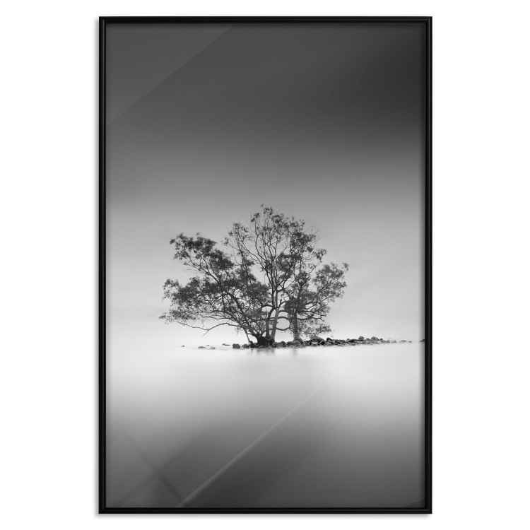 Poster Tree on an island - black and white landscape of a tranquil lake surface 114875 additionalImage 18
