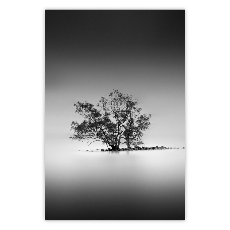 Poster Tree on an island - black and white landscape of a tranquil lake surface 114875