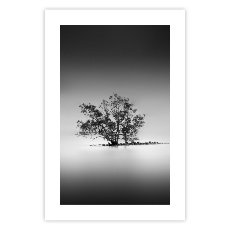 Poster Tree on an island - black and white landscape of a tranquil lake surface 114875 additionalImage 25