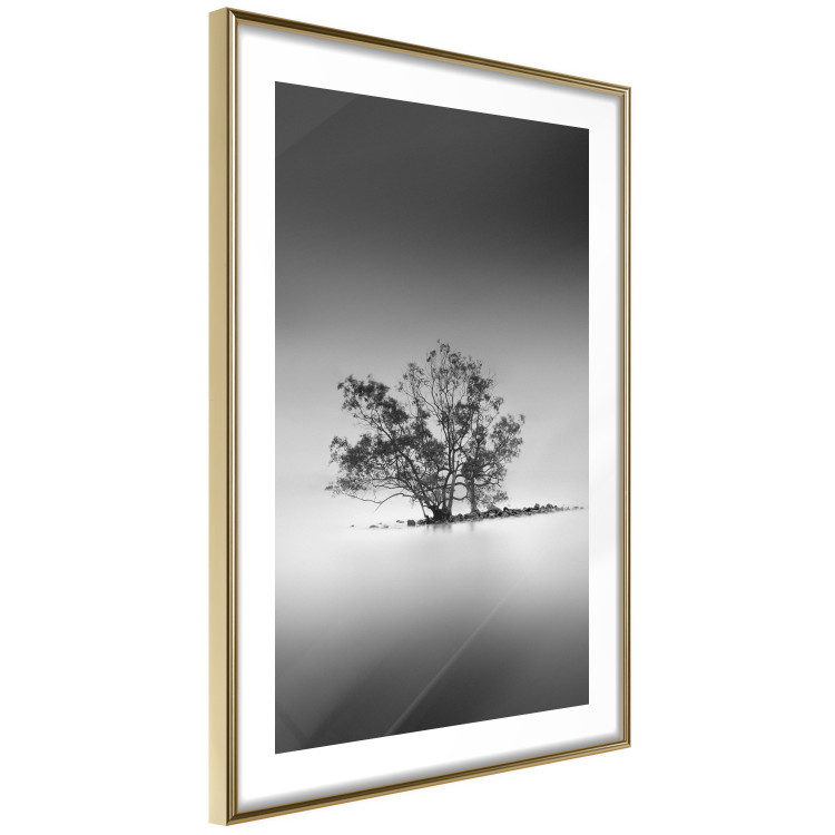 Poster Tree on an island - black and white landscape of a tranquil lake surface 114875 additionalImage 6