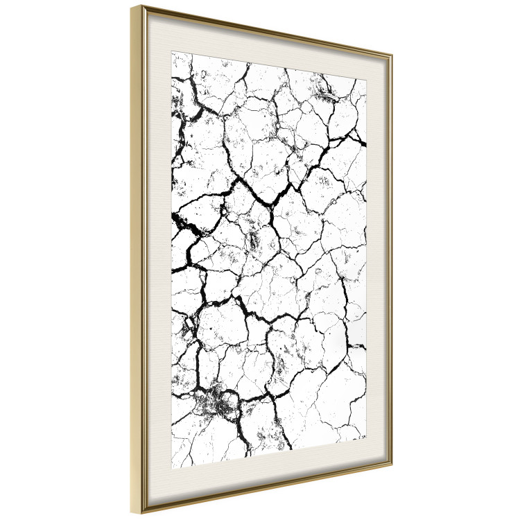 Wall Poster Cracked earth - black and white composition with irregular texture 115075 additionalImage 2