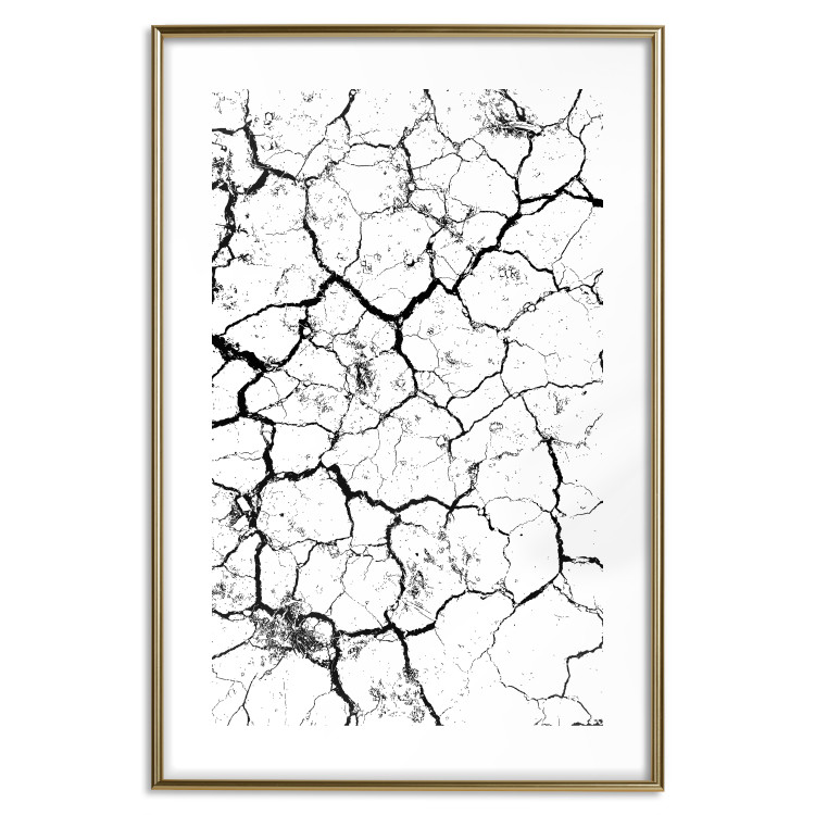Wall Poster Cracked earth - black and white composition with irregular texture 115075 additionalImage 16
