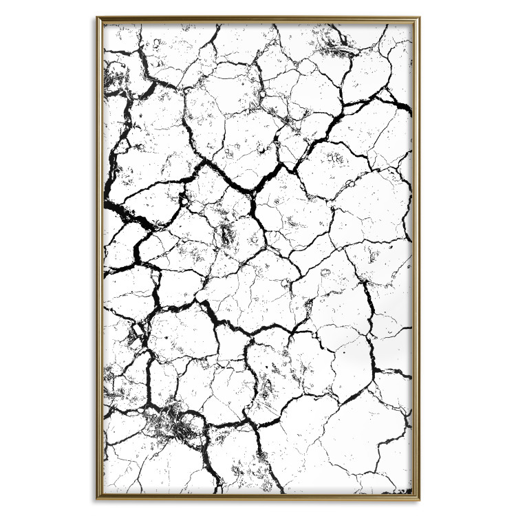 Wall Poster Cracked earth - black and white composition with irregular texture 115075 additionalImage 16
